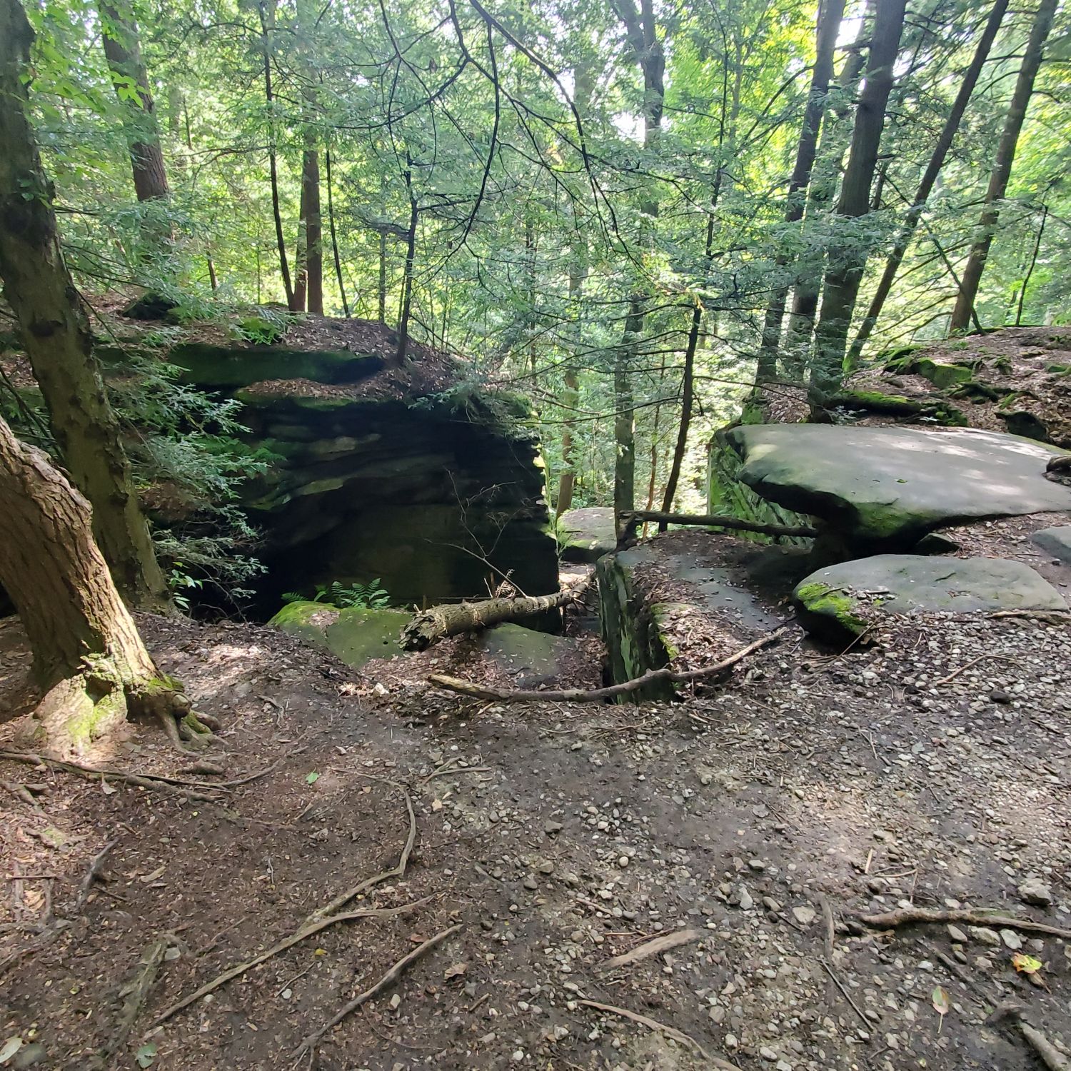 Ledges and Pine Grove Trails 